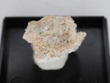 Bertrandite